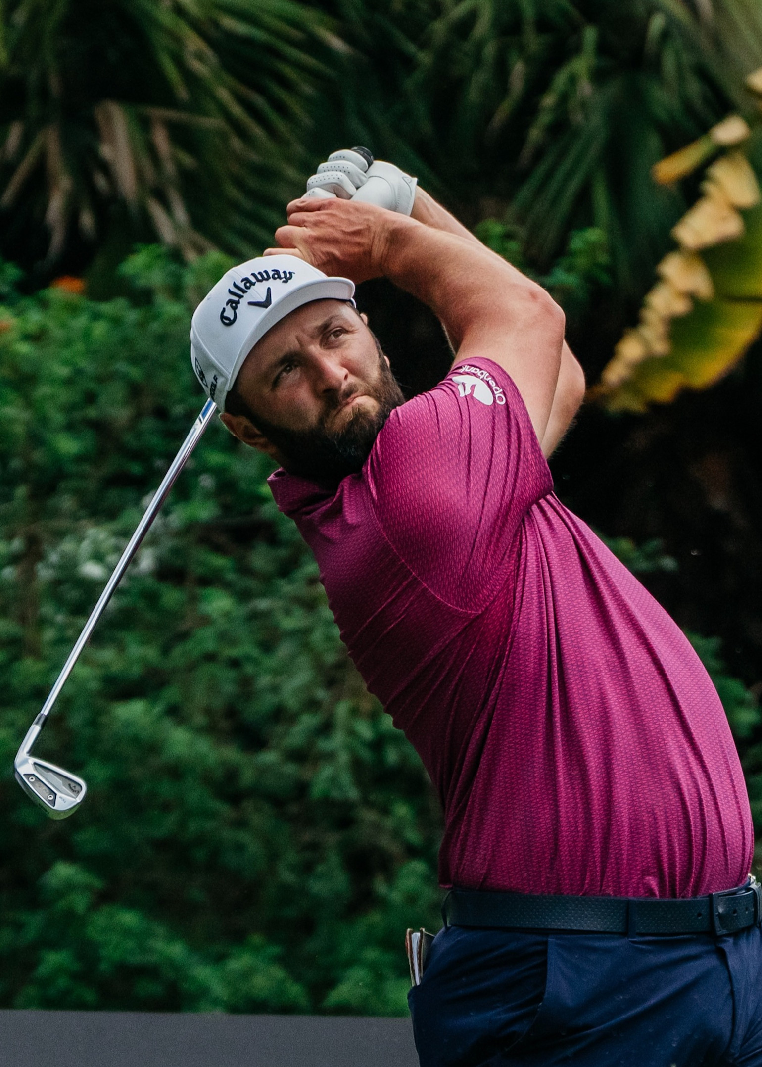 Golfspelare i lila tröja och vit Callaway-keps svingar en golfklubba utomhus med grönska i bakgrunden.
