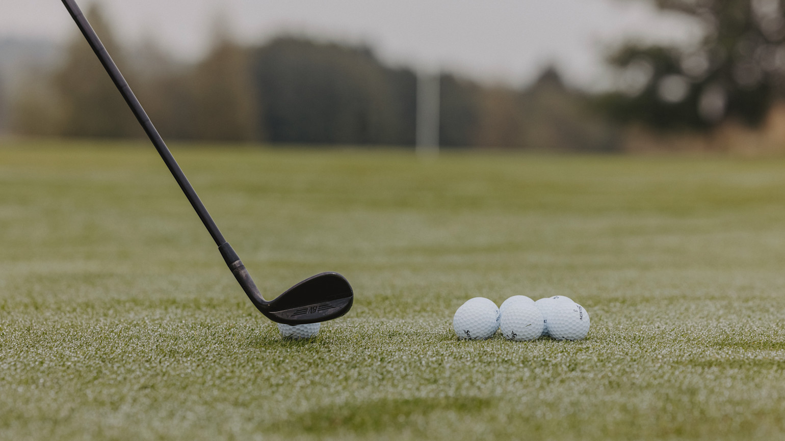 A golf club is aimed at a golf ball on the grass, with four other golf balls next to it on a golf course.