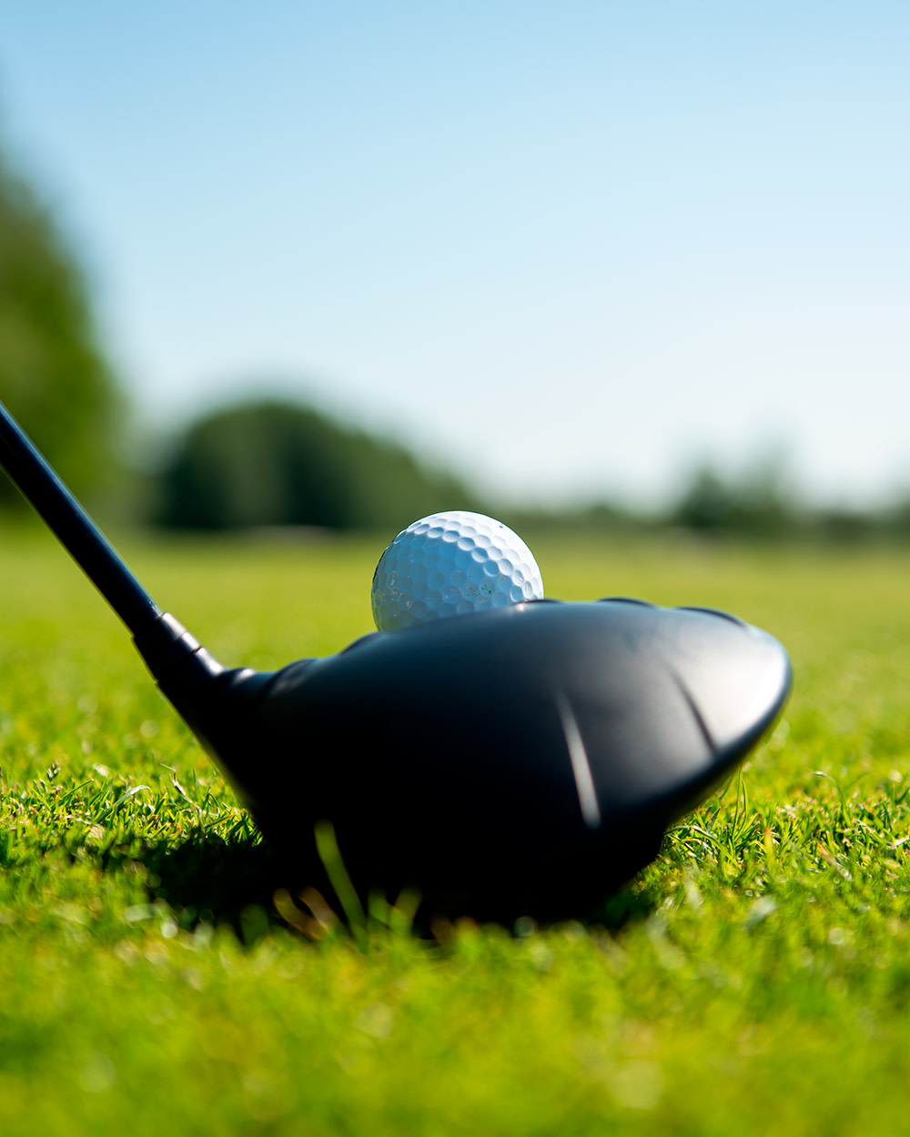 En golfboll ligger på gräset framför ett golfklubba, redo att slås på en solig golfbana.