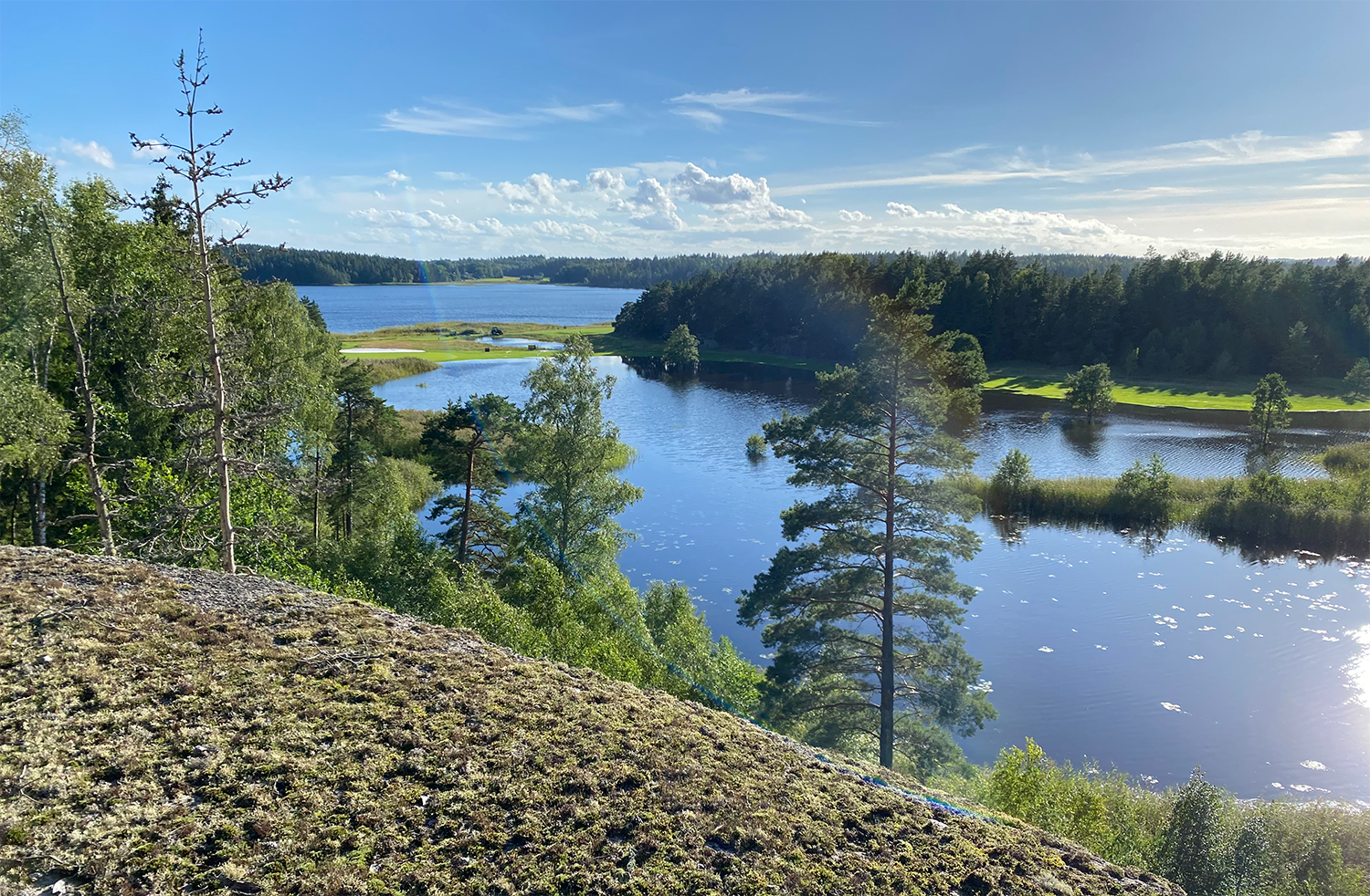 Utsikt över en sjö omgiven av skog och grönska under en klarblå himmel med några moln.