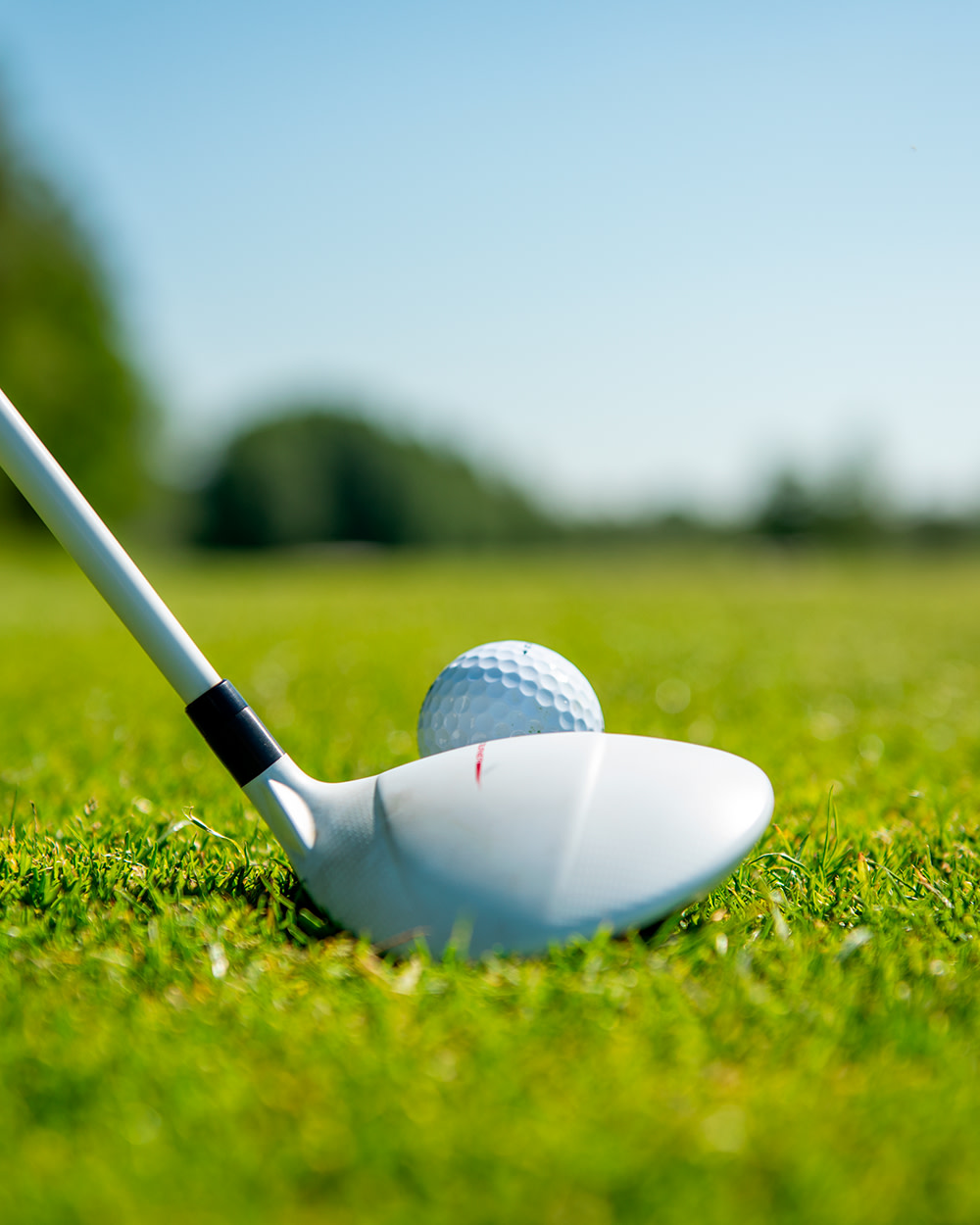 En golfklubba riktas mot en golfboll på en grön gräsmatta, med suddig natur i bakgrunden.