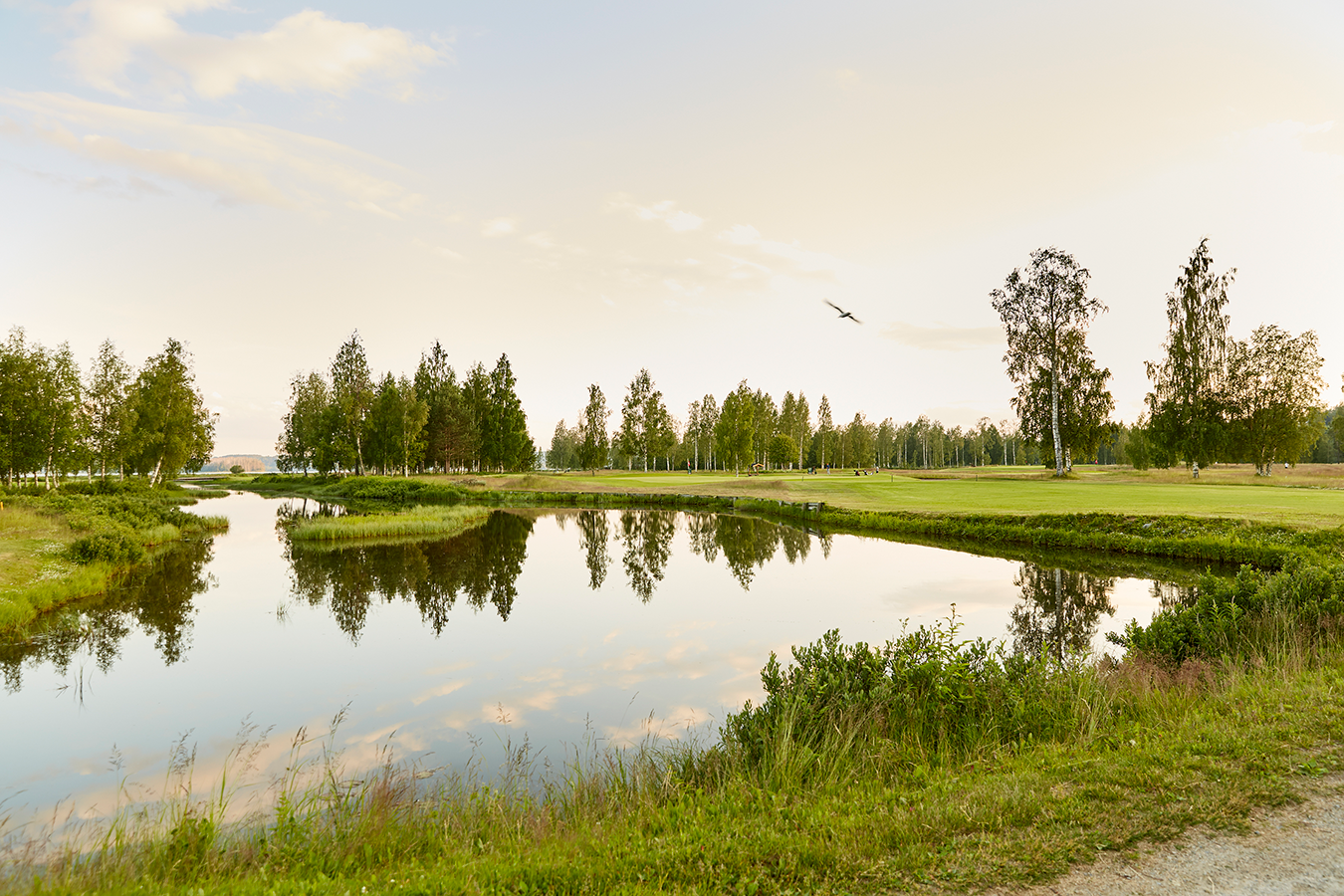 Spegelblank sjö med gräs och träd runtom, trädens spegelbild syns i vattnet och en fågel flyger över landskapet.