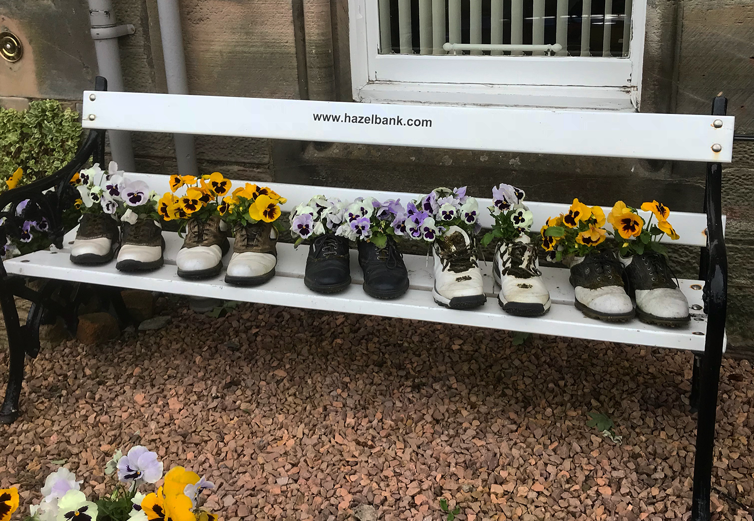 Gamla skor fyllda med färgglada penséer står uppradade på en vit bänk utomhus mot en stenmur.