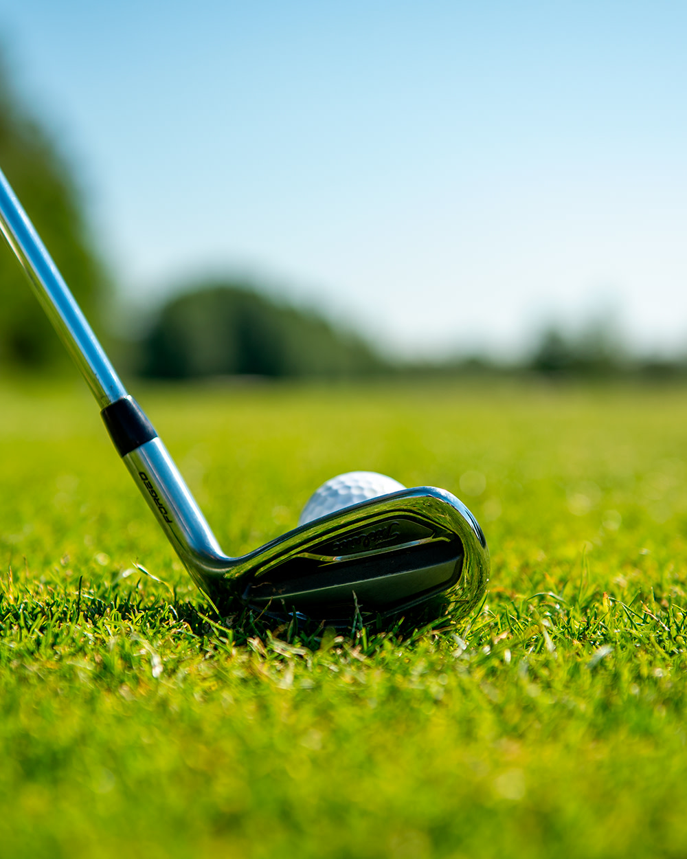 En golfklubba ligger mot en golfboll på en grön gräsmatta, med suddig bakgrund av träd och blå himmel.