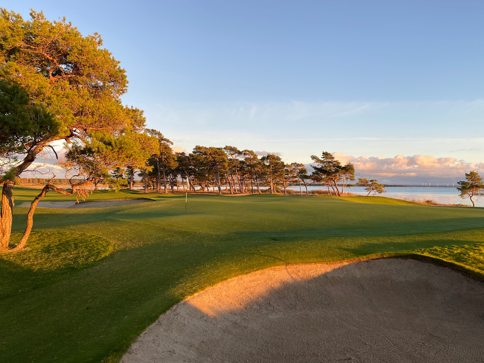 Golfgreen med flaggstång, sandbunker i förgrunden, tallar och hav i bakgrunden under kvällssol.