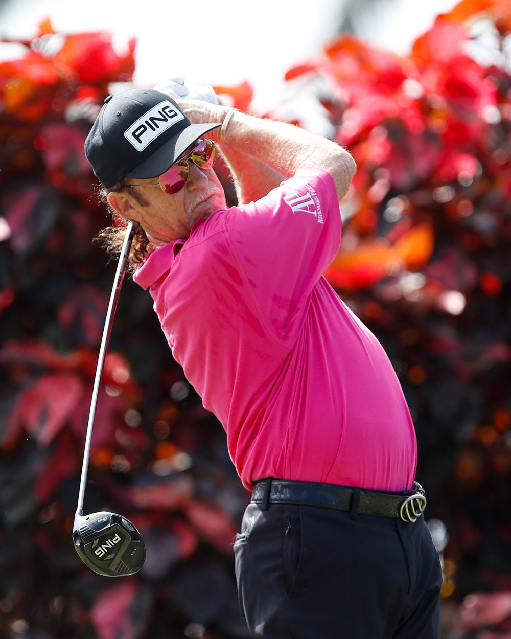 Golfspelare i rosa tröja och svart PING-keps svingar en golfklubba utomhus med röda blad i bakgrunden.