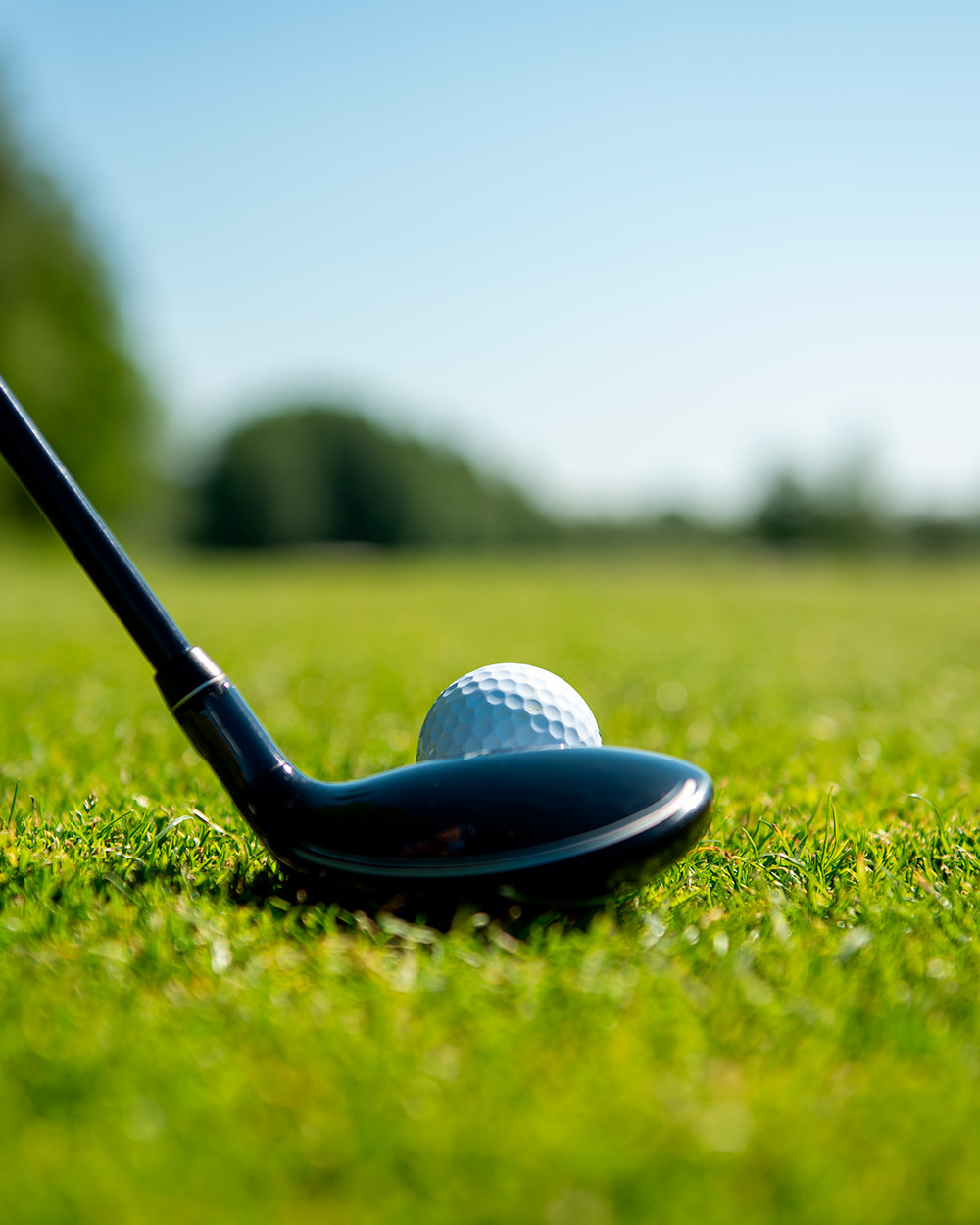 En golfklubba riktas mot en golfboll som ligger på gräset på en solig golfbana.